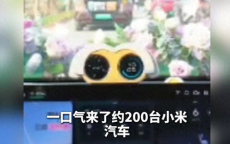 “摇”出幸福，200台小米汽车助力男子婚礼盛宴