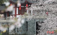 文旅色彩之旅：各地特色colorwalk兴起