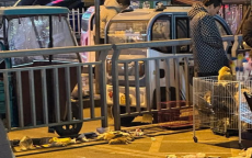 行拘5天：当街摔死兔子摊贩事件引发社会关注