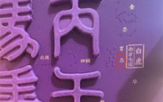 错版马年生肖茅台酒：潜力无限，升值可期