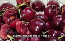 12箱车厘子惊现陈年僵尸果：团购惊喜变惊悚