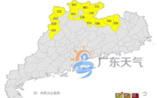 “广东春暖花开，经济复苏正当时——解冻之际展望未来”