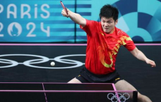 “29岁樊振东115冠荣耀：乒乓球界的传奇巨星之路”