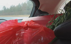 红包回归，女儿泪洒键盘：一场关于爱与成长的温情演绎