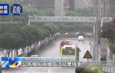 梅姨落网：跨国追捕背后的惊心动魄历程