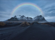 生命树倒计时:探寻自然奥秘的绿色征程