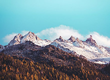 石狮溯源:靖国神社前的中国石狮历史探寻
